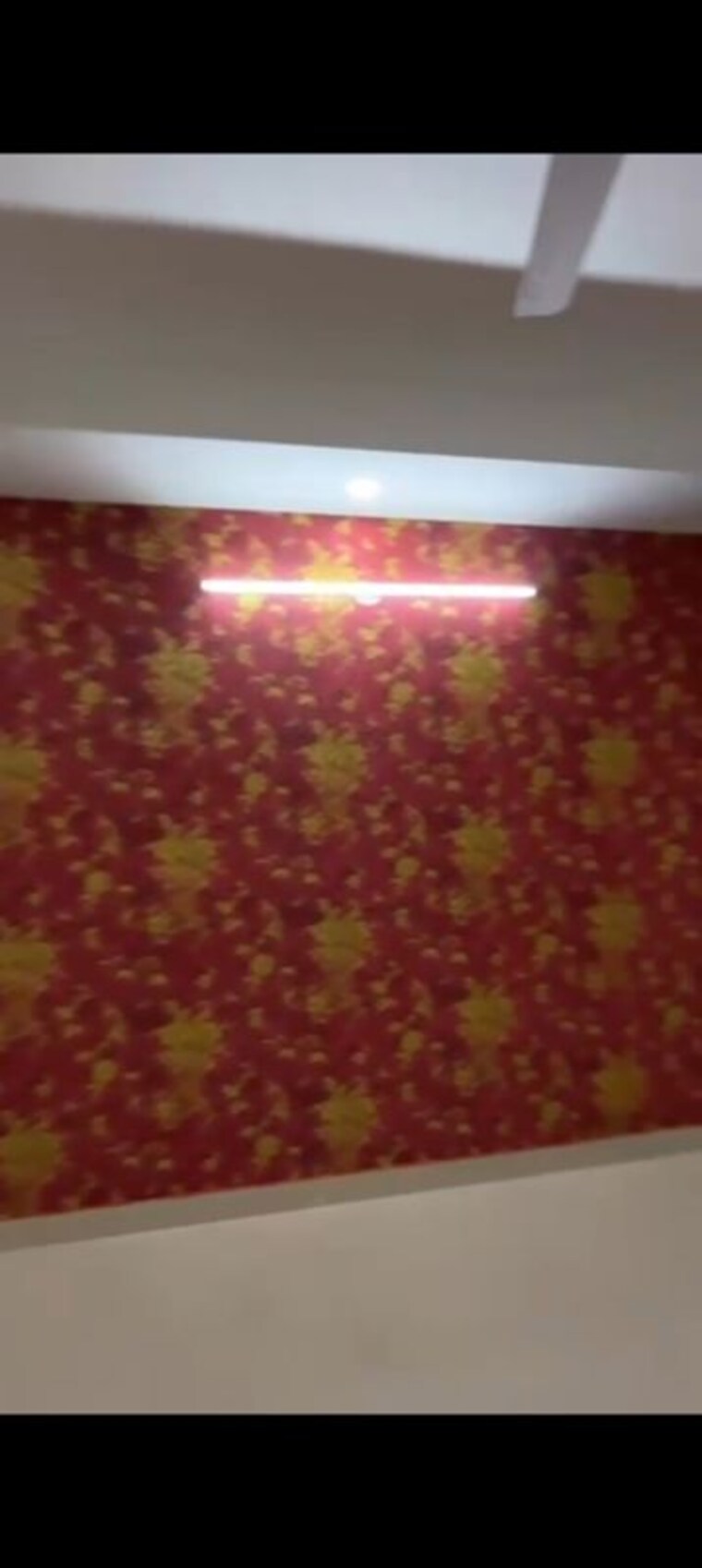 Room, mehrauli 3 Bedroom 125 Sq.Ft. Builder Floor In Mehrauli Delhi 10033442