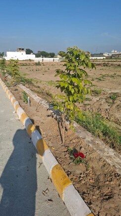 Plot For Sale in Dankaur