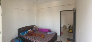 3 BHK Apartment For Rent in Amrapali Crystal Homes, Sector 76