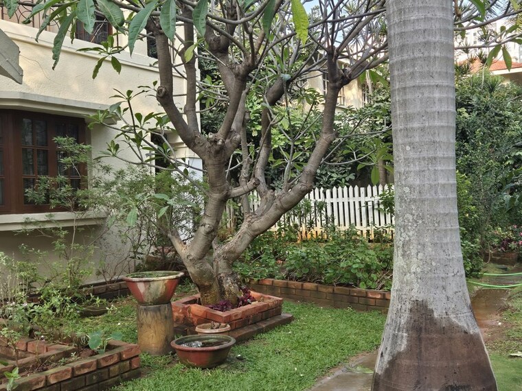 Garden, adarsh-palm-meadows-annexe 3 Bedroom 2251 Sq.Ft. Villa In Whitefield Bangalore 10033691