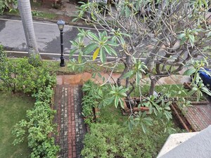 3 BHK Villa – Exterior View View at Adarsh Palm Meadows Annexe, Whitefield - for Rent