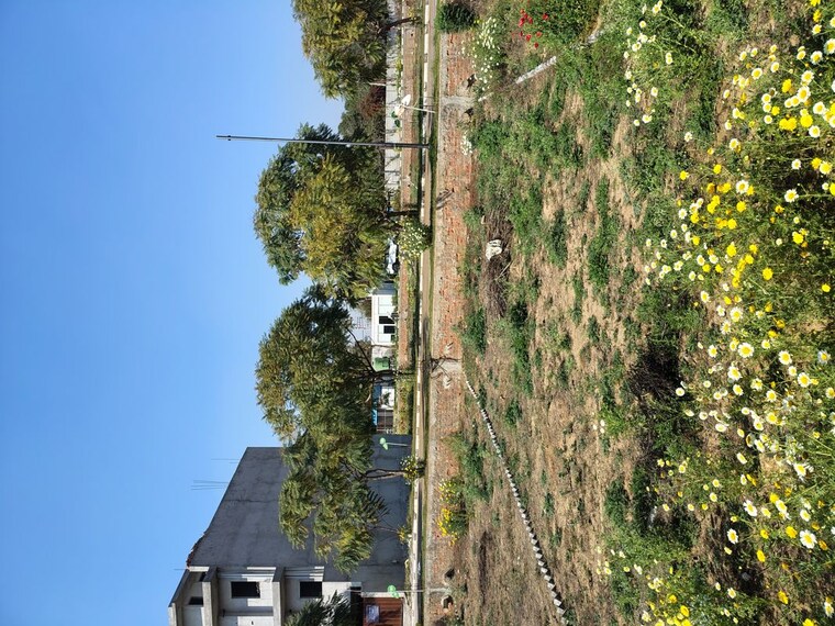 Garden, rambha-corona-greens  127 Sq.Yd. Plot In Sohna Sector 5 Gurgaon 10033866