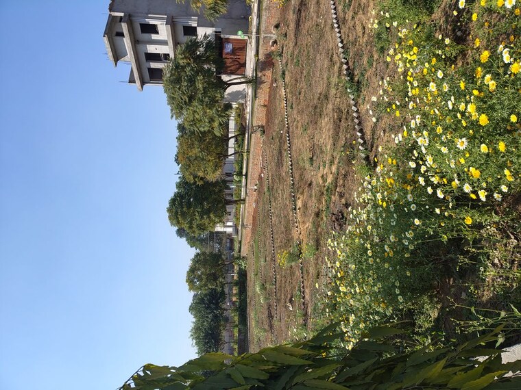 Exterior View, rambha-corona-greens  127 Sq.Yd. Plot In Sohna Sector 5 Gurgaon 10033866