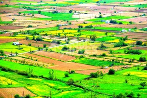  Plot – Garden View at Aerocity - for Sale