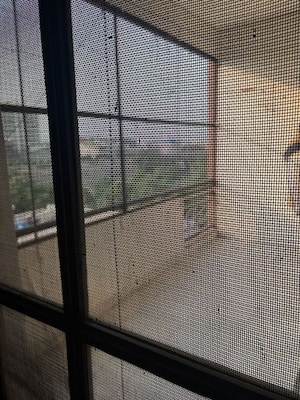 Balcony in 3 BHK Apartment at New Generation Maple Apartments, Dhakoli – for Sale