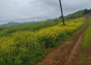  Plot For Sale in Panshet