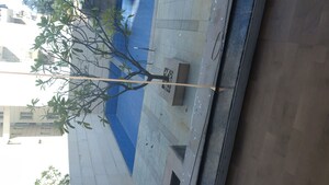 Balcony in 3.5 BHK Apartment at BPTP Park Prime, Sector 66 – for Rent