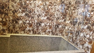 Furnished Amenities in 2 BHK Apartment at Eldeco Ananda, Sector 48 – for Rent