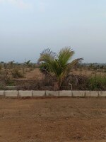 200 Sq.Yd. Plot in Chintapalli