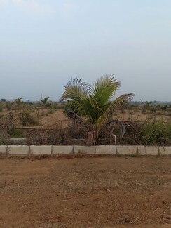 Plot For Sale in Chintapalli
