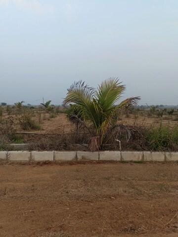 Plot Area in  Plot at Chintapalli – for Sale