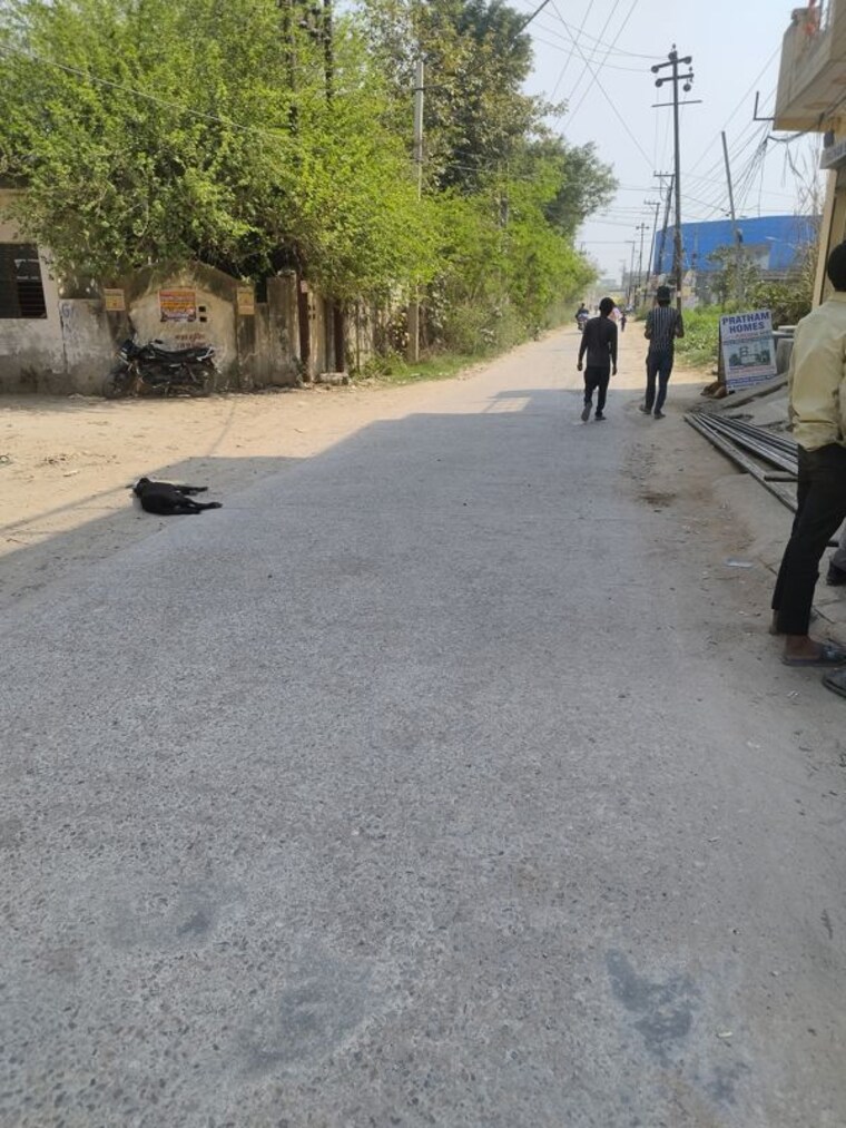 Exterior View, govindpuram  100 Sq.Yd. Plot In Govindpuram Ghaziabad 10035465