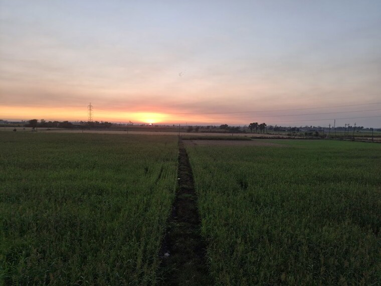 undefined, dumas  3600 Sq.Yd. Plot In Dumas Surat 10035728