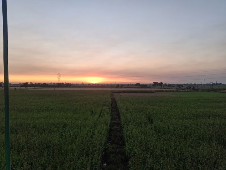 undefined, dumas  3600 Sq.Yd. Plot In Dumas Surat 10035728