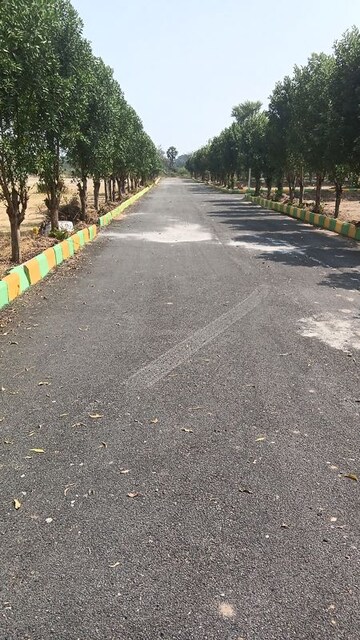  Plot For Sale in Bhongiri Warangal Highway