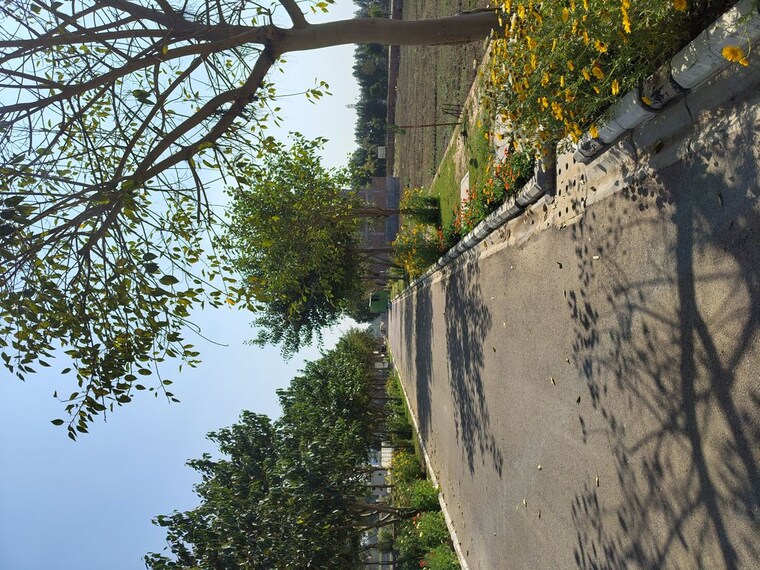 Exterior View, ats-homekraft-bonheur-avenue  178 Sq.Yd. Plot In Sohna Sector 35 Gurgaon 10036000