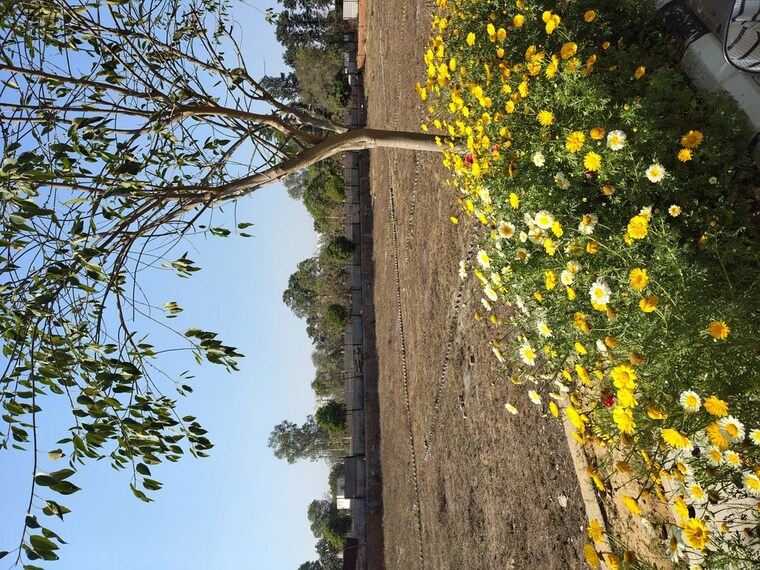 Garden, ats-homekraft-bonheur-avenue  178 Sq.Yd. Plot In Sohna Sector 35 Gurgaon 10036000