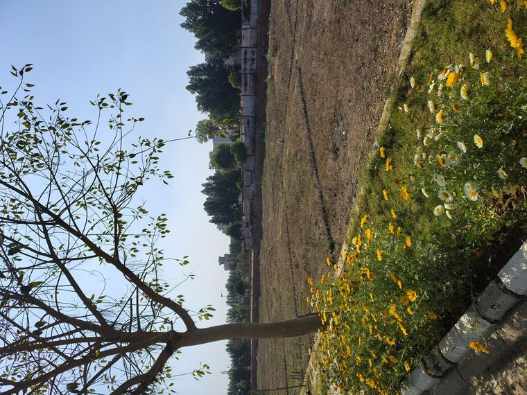 Garden, ats-homekraft-bonheur-avenue  178 Sq.Yd. Plot In Sohna Sector 35 Gurgaon 10036000