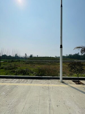  Plot For Sale in Biharigarh