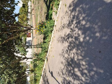  Plot – Exterior View View at Rambha Corona Greens, Sohna Sector 5 - for Sale