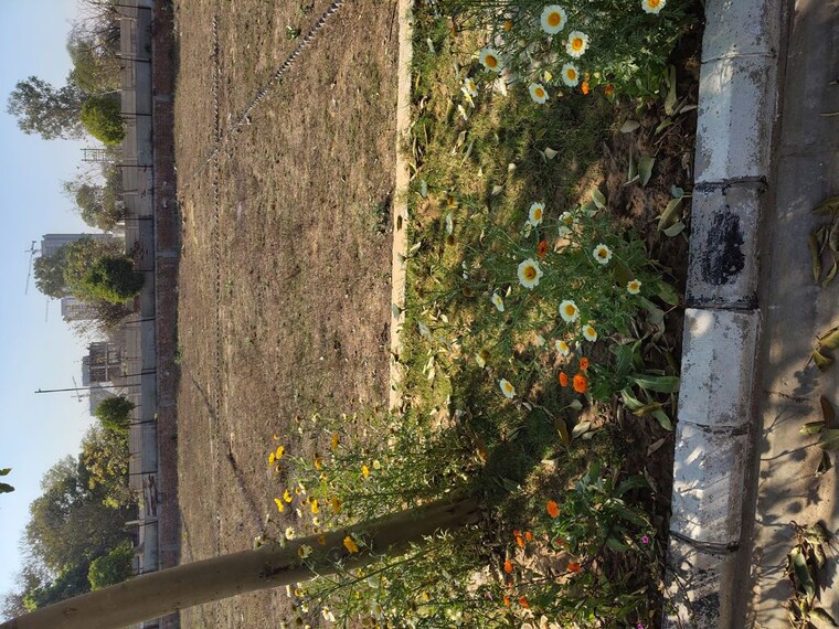 Garden, ats-homekraft-bonheur-avenue  167 Sq.Yd. Plot In Sohna Sector 35 Gurgaon 10035986