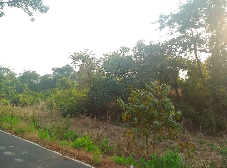 undefined, chanje  1089 Sq.Ft. Plot In Chanje Navi Mumbai 10036336