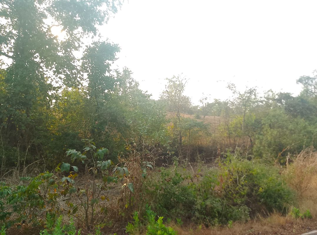 Plot For Sale in Chanje
