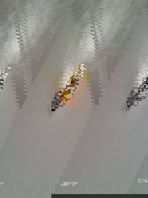 2 BHK + Pooja Room,Extra Room 1110 Sq.Ft. Apartment in Neelam Vihar