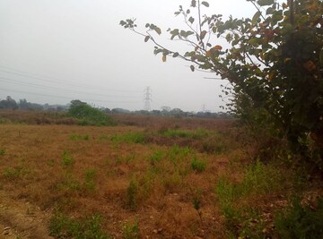 Plot Area in  Land at Chirle – for Sale