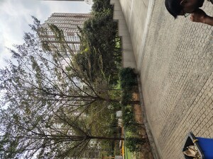 3 BHK Apartment For Rent in Rajapushpa Provincia, Narsingi