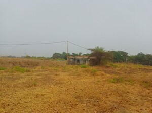 Plot Area in  Plot at Pen – for Sale