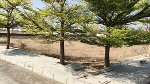  Plot – Garden View at JB Nature Valley, Choutuppal - for Sale