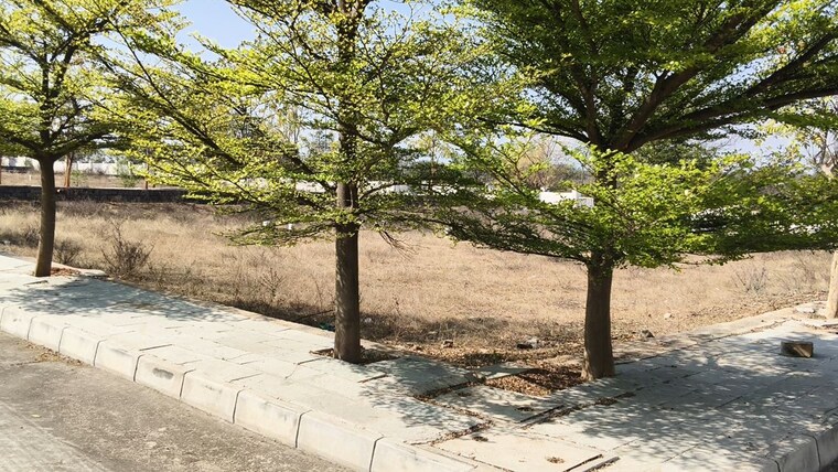 Garden, jb-nature-valley  152 Sq.Yd. Plot In Choutuppal Hyderabad 10036699