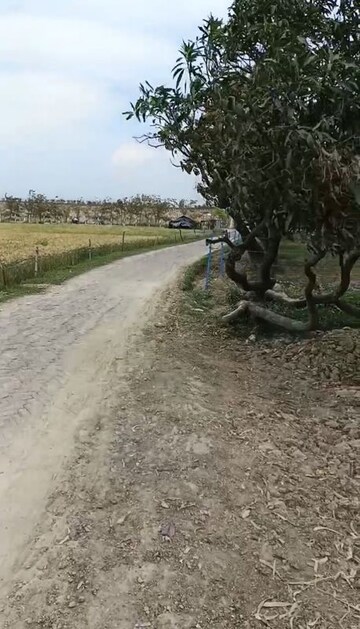  Plot – Exterior View View at Sultanpur Road - for Sale