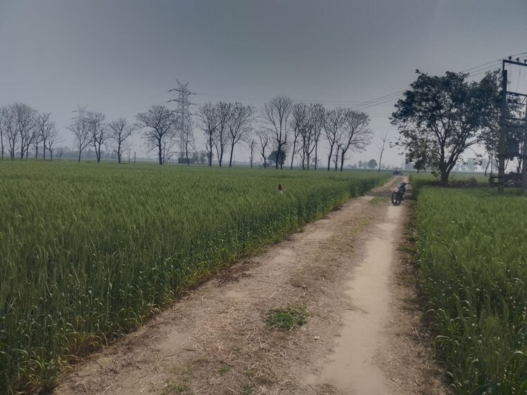 undefined, ludhiana chandigarh hwy Commercial Land 7 Acre In LudhianA Chandigarh Hwy Mohali 10036838