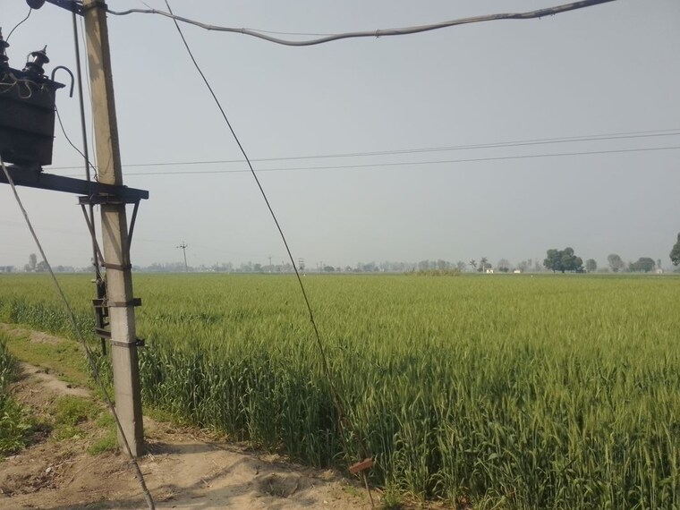 undefined, ludhiana chandigarh hwy Commercial Land 7 Acre In LudhianA Chandigarh Hwy Mohali 10036838