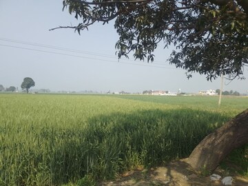 Plot Area in  Land at LudhianA-Chandigarh Hwy – for Sale