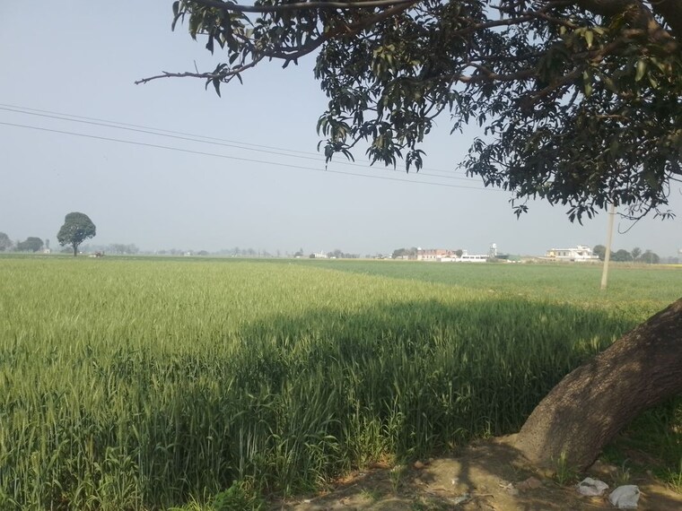 undefined, ludhiana chandigarh hwy Commercial Land 7 Acre In LudhianA Chandigarh Hwy Mohali 10036838