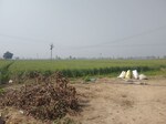 7 Acre Land in Ludhiana-Chandigarh Hwy