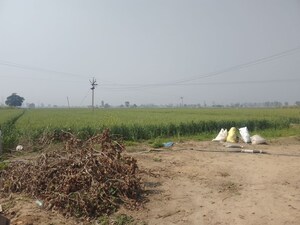  Land For Sale in LudhianA-Chandigarh Hwy