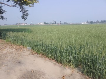 Plot Area in  Land at LudhianA-Chandigarh Hwy – for Sale