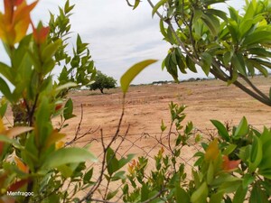  Plot – Garden View at Tiruvallur - for Sale