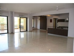 3 BHK + Study Room Apartment For Rent in Parmar Avienus