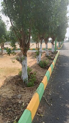 Plot For Sale in Bhongiri warangal Highway