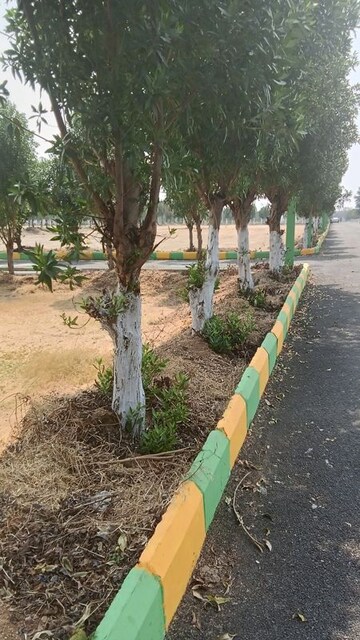  Plot For Sale in Bhongiri Warangal Highway