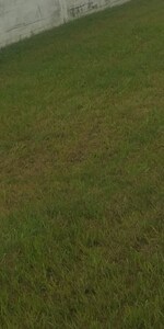 270 Sq.Yd. Plot in Gurdev Nagar