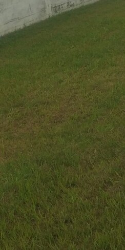 Plot For Sale in Gurdev Nagar