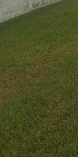  Plot For Sale in Gurdev Nagar