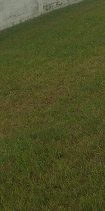  Plot For Sale in Gurdev Nagar