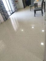 2 BHK 935 Sq.Ft. Apartment in Sankla Gemini Park Avenue